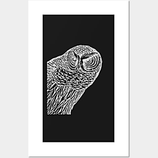 Owl Alert Posters and Art